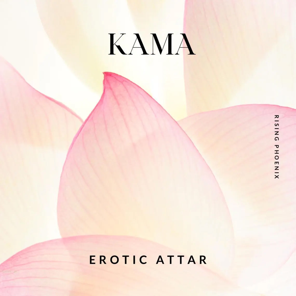 Kama 2026 - Sultry Rose Attar