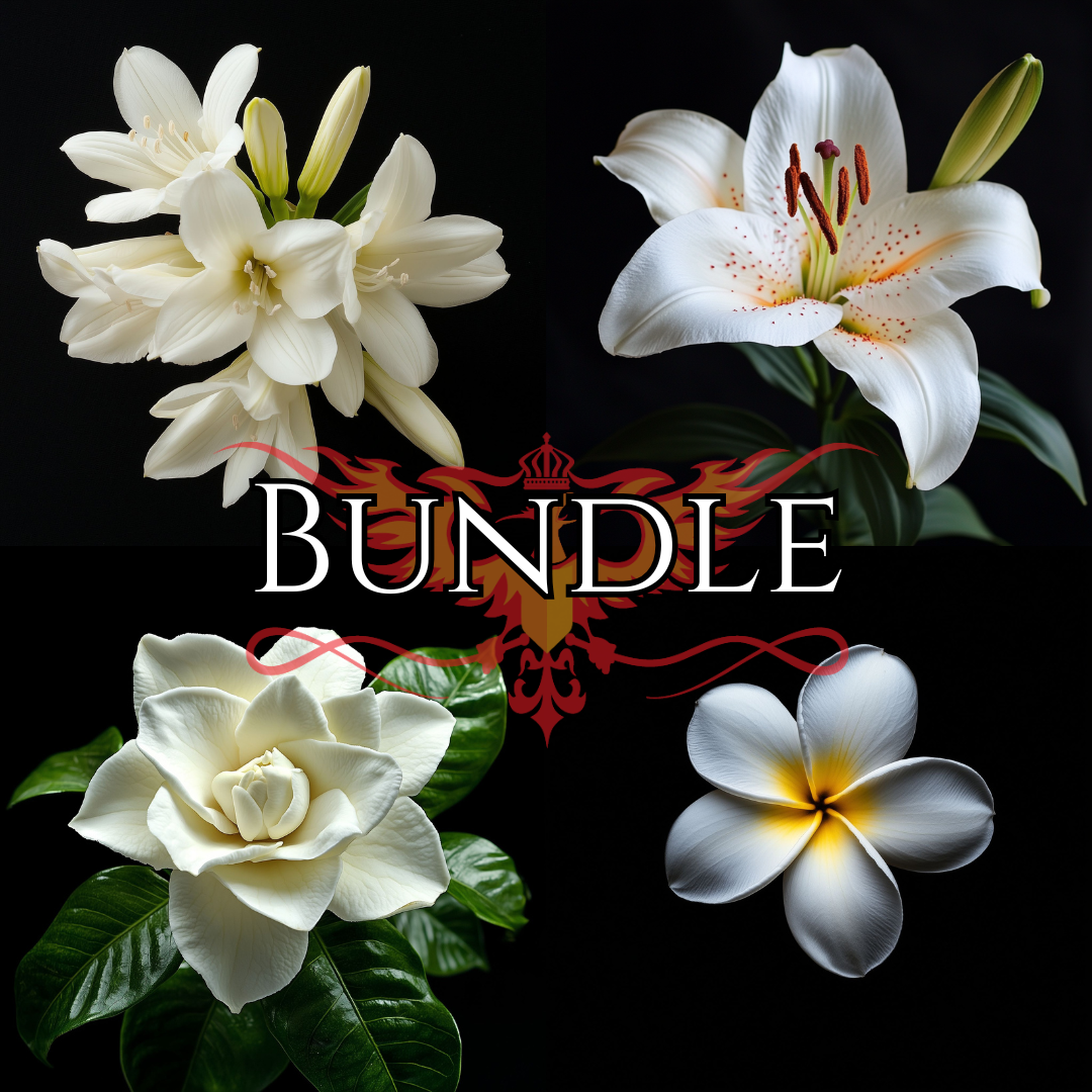 2024 Frangipani Enfleurage