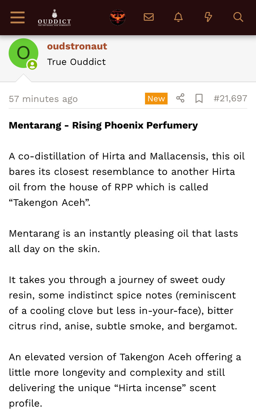 Mentarang Kodo 2023 : Malinau North Kalimantan Borneo Island Indonesian Malaccensis & Hirta / Candan - Pure Artisan Dehn al Oud - RPP