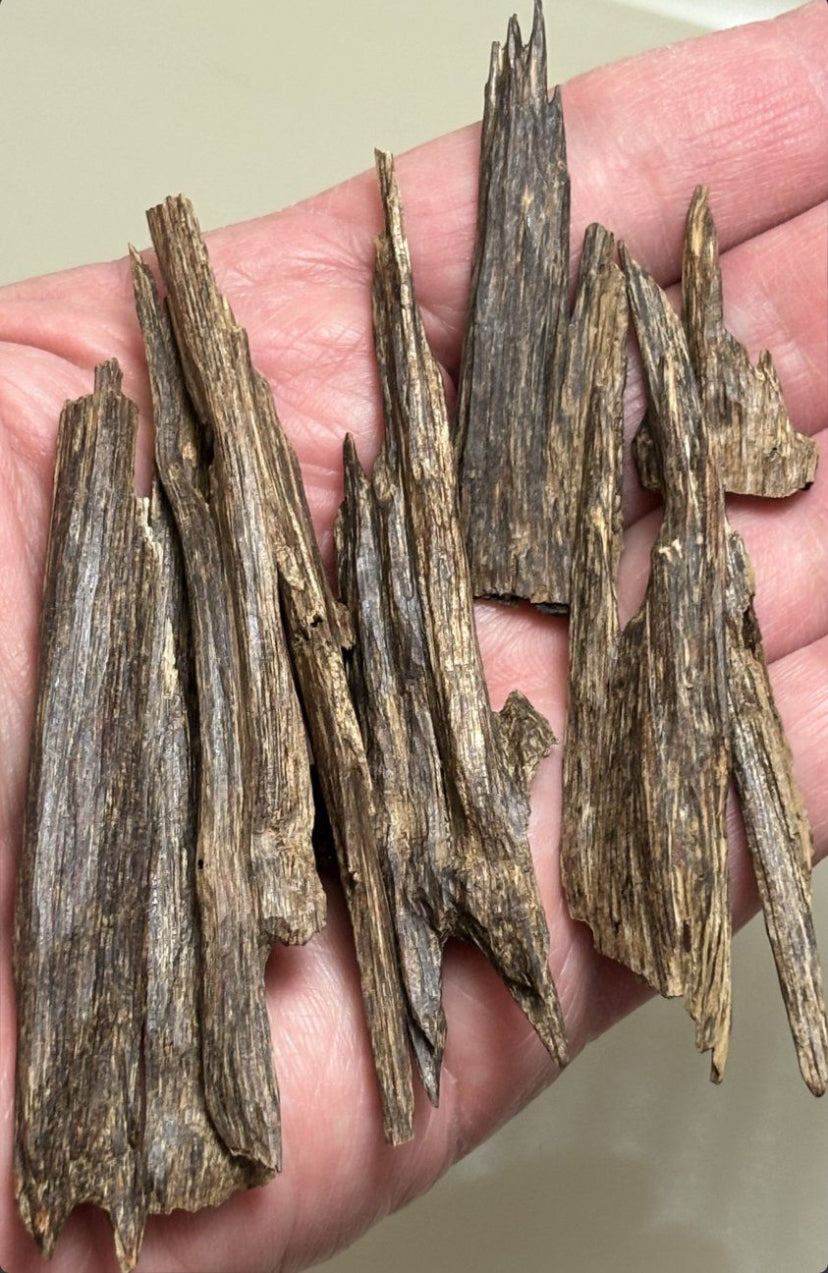 Tura Peak Saif 2021 - Western Garo Hills - Meghalaya : Indian/Hindi Agarwood Chips