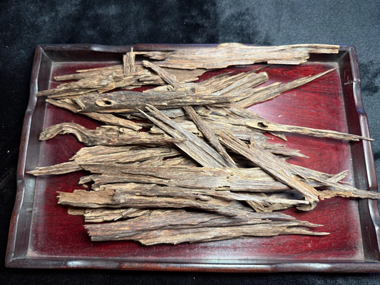 Wild Old Tree Indian Hindi Agarwood - Hmarkhawlien, Assam / Manipur Border