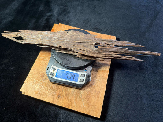 Wild Old Tree Indian Hindi Agarwood - Hmarkhawlien, Assam / Manipur Border (70 grams)