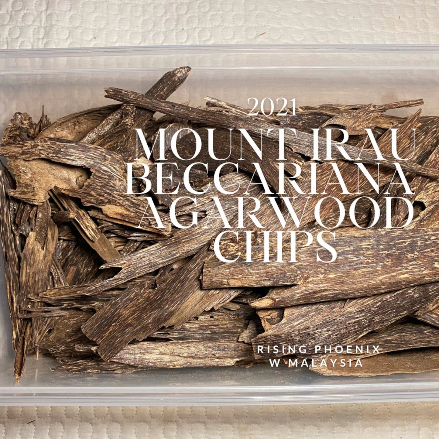 Irau Mountain Beccariana 2021 - Pahang / Perak, West Malaysia : Single Tree Agarwood Chips - Gaharu - Bakhoor al Oudh - RisingPhoenixPerfumery.com