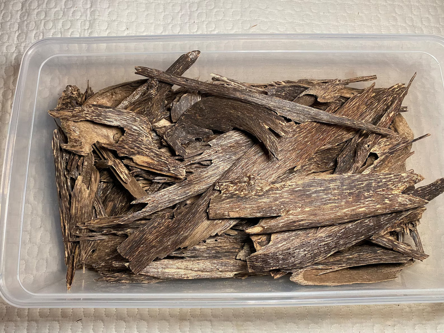 Irau Mountain Beccariana 2021 - Pahang / Perak, West Malaysia : Single Tree Agarwood Chips - Gaharu - Bakhoor al Oudh - RisingPhoenixPerfumery.com