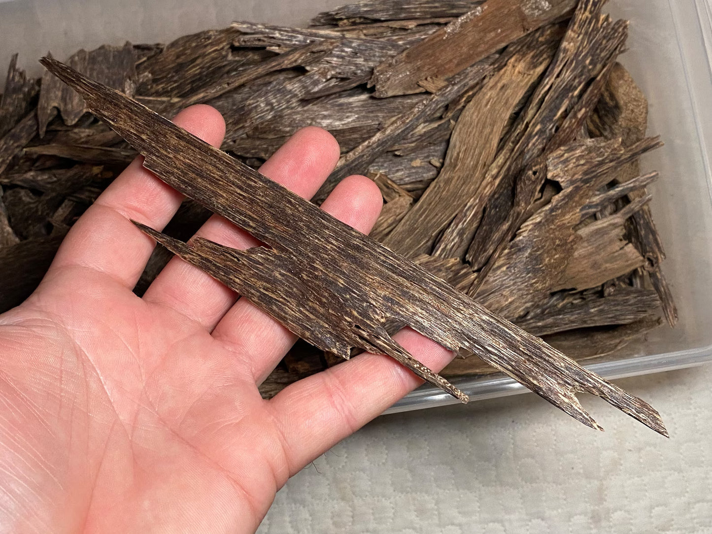 Irau Mountain Beccariana 2021 - Pahang / Perak, West Malaysia : Single Tree Agarwood Chips - Gaharu - Bakhoor al Oudh - RisingPhoenixPerfumery.com