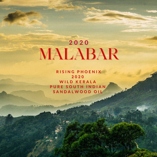 2020 Malabar - Pure South Indian Sandalwood Oil - Malabar Coast (Modern Day Kerala) - Rising Phoenix Perfumery - RisingPhoenixPerfumery.com