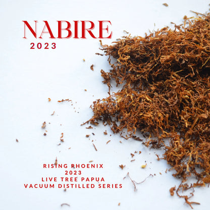 Nabire 2023 - Live Tree Filaria Indonesian Oud Oil - Vacuum Distilled Series - Pure Dehn al Oudh - Rising Phoenix Perfumery