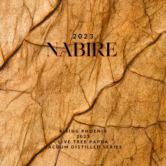 Nabire 2023 - Live Tree Filaria Indonesian Oud Oil - Vacuum Distilled Series - Pure Dehn al Oudh - Rising Phoenix Perfumery