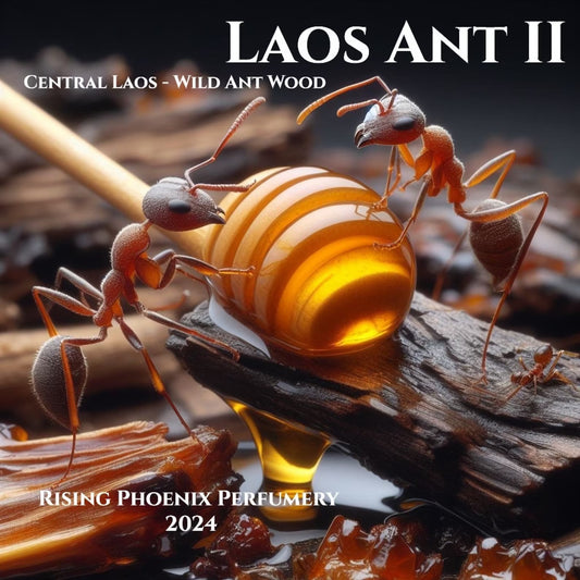 Laos Ant II 2024 : New Gen Wild Central Laos Antwood Pure Oud Oil - Dehn al Oudh - Rising Phoenix Perfumery - Borikhamxay Series