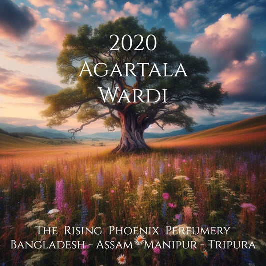 Agartala Wardi 2020 - Barlekha Bangladesh / Assam / Manipur / Tripura - Pure Artisan Dehn al Oud Oil - Rising Phoenix Perfumery - RPP