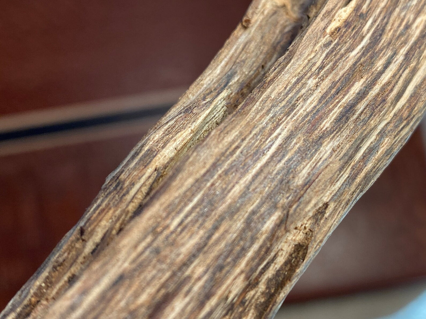 Brunei / Sabah Border 48g - Microcarpa Wild Agarwood - East Malaysia - Borneo - Kalimantan - Gaharu - Rising Phoenix Perfumery