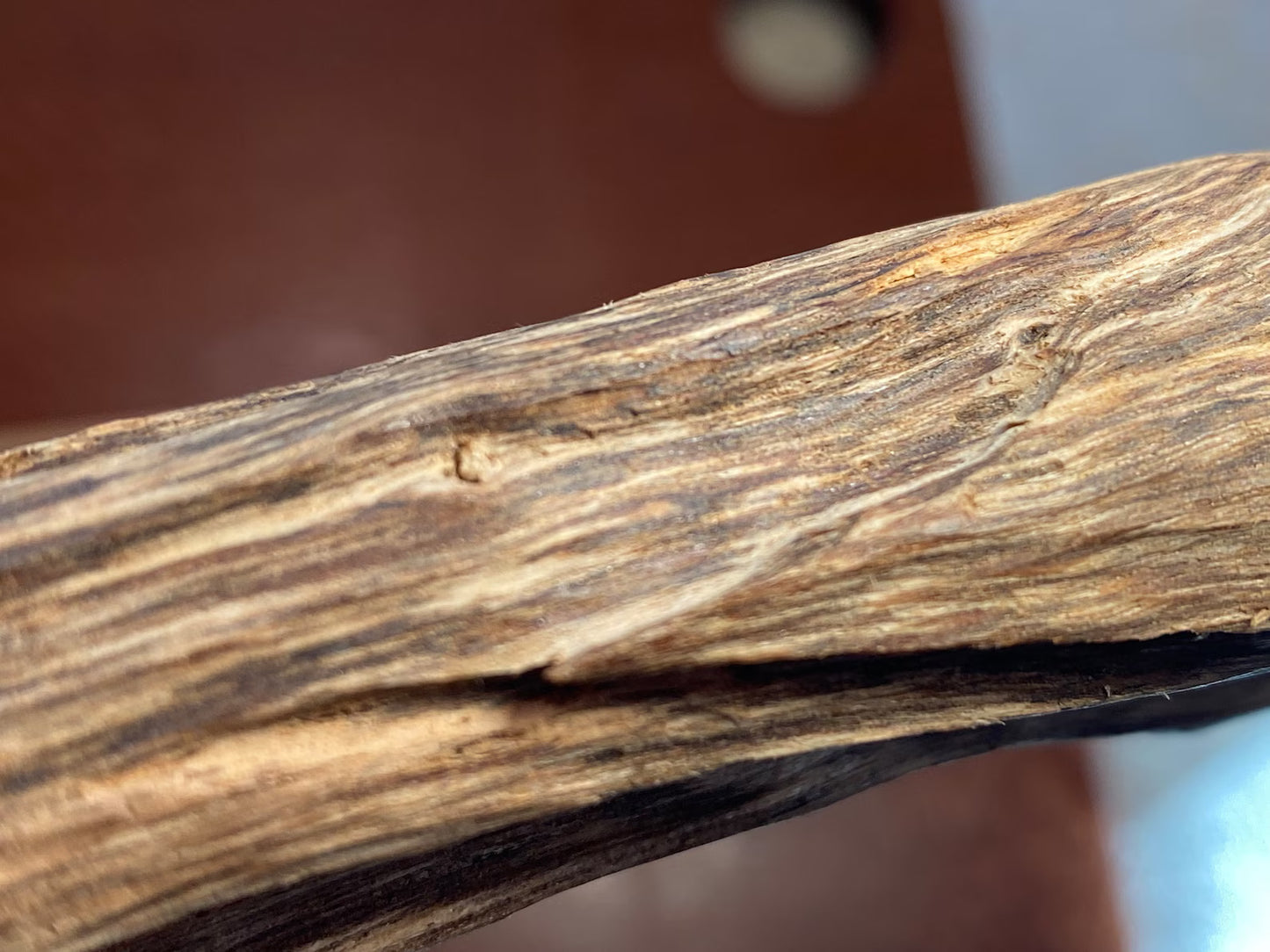 Brunei / Sabah Border 48g - Microcarpa Wild Agarwood - East Malaysia - Borneo - Kalimantan - Gaharu - Rising Phoenix Perfumery