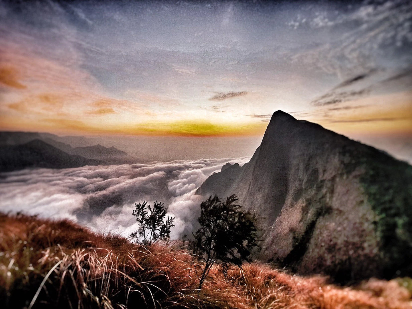 Sandalwood Melange 2023