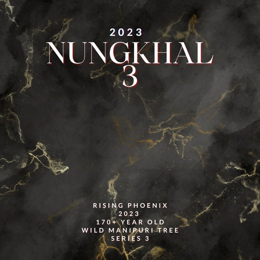 Nungkhal 3 - 2023 : Pure Manipuri 170+ Year Old Single Tree Oud Oil - Hindi Dehn al Oudh - Rising Phoenix Perfumery - Nungkhal Series 3 of 4 - RisingPhoenixPerfumery.com
