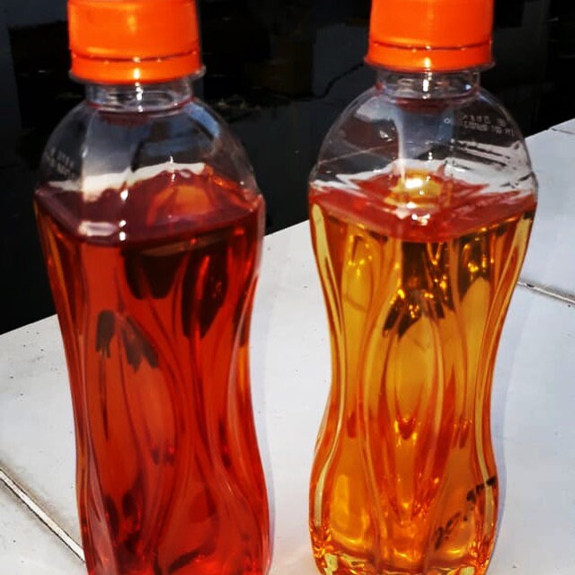 Kota Kupang 2018 - SANDALWOOD ORIGINS SERIES - RisingPhoenixPerfumery.com