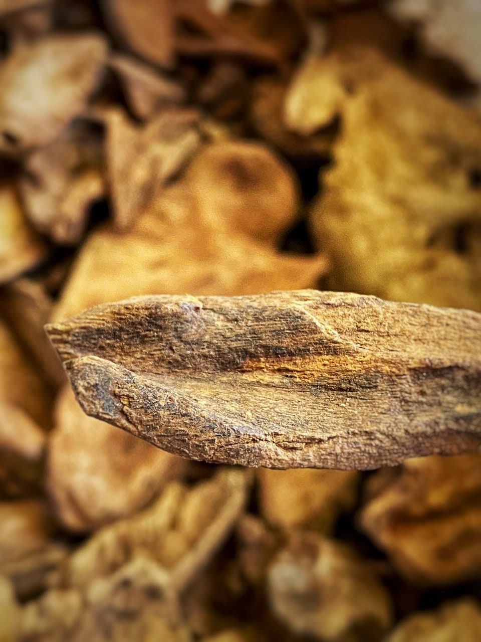 Seram Island Senkoh 2020 : Werinama, East Seram, Maluku Incense Sticks - RisingPhoenixPerfumery.com