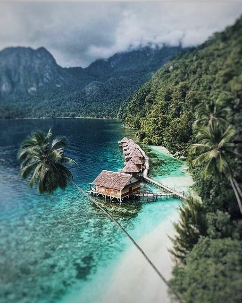 Seram Island Senkoh 2020 : Werinama, East Seram, Maluku Incense Sticks - RisingPhoenixPerfumery.com