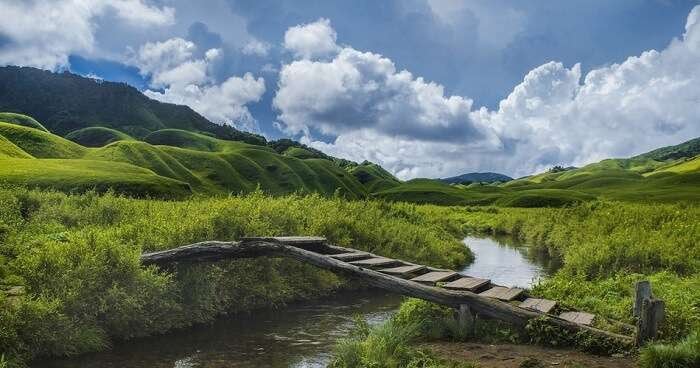 Sivasagar 2021 : Upper Assam Hindi Oud Oil - RisingPhoenixPerfumery.com