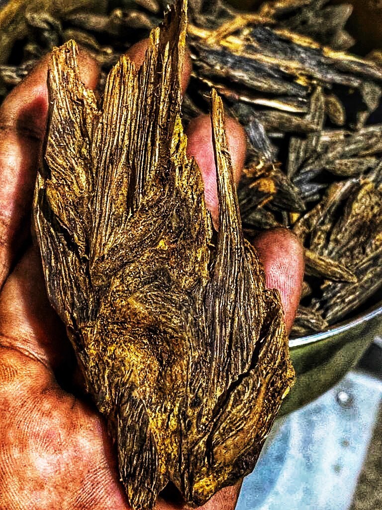Paking Senkoh 2021 : West of Malinau City Incense Sticks - Northern Borneo/Kalimantan, Indonesian Series - RisingPhoenixPerfumery.com