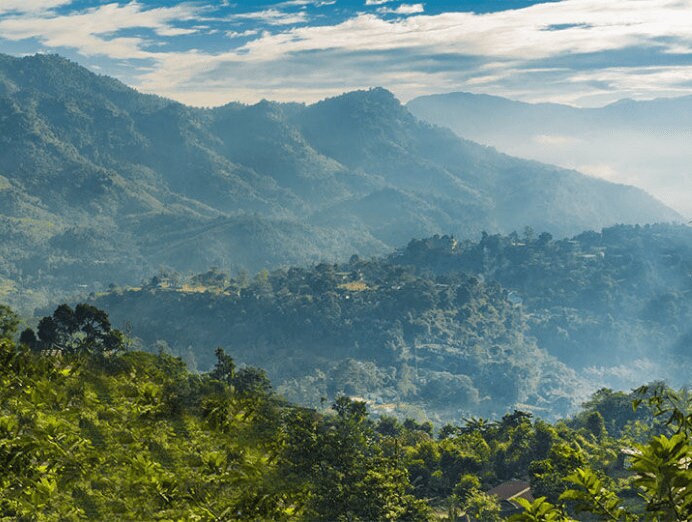 Dawki 2016 : West Jaintai Hills - Pure Hindi Oud Oil - RisingPhoenixPerfumery.com