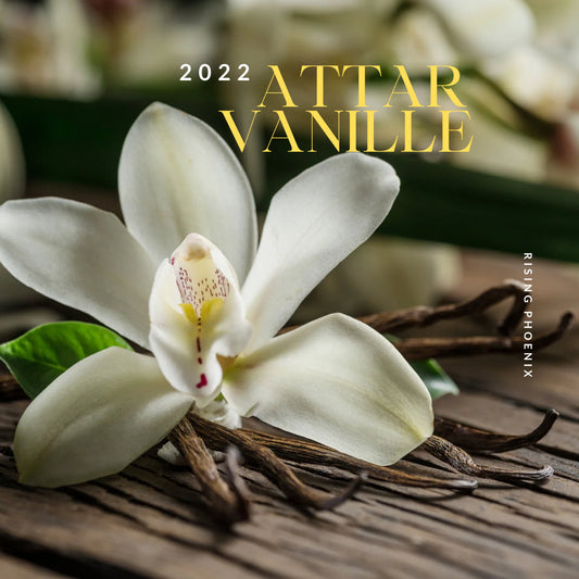 Attar Vanille : Kerala 2022 - Vanilla Sandalwood Attar - RisingPhoenixPerfumery.com