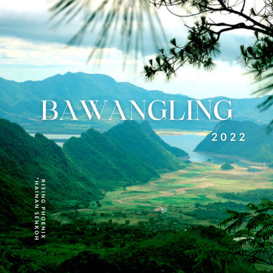 Bawangling 2022 : Central Hainan Senkoh - Chinese Incense Sticks - RisingPhoenixPerfumery.com