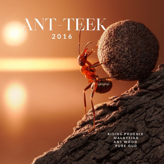 Ant-teek 2016 : Pure Malaysian Ant Wood Oud Oil - Pure Dehn al Oudh - Ateek Series - RisingPhoenixPerfumery.com