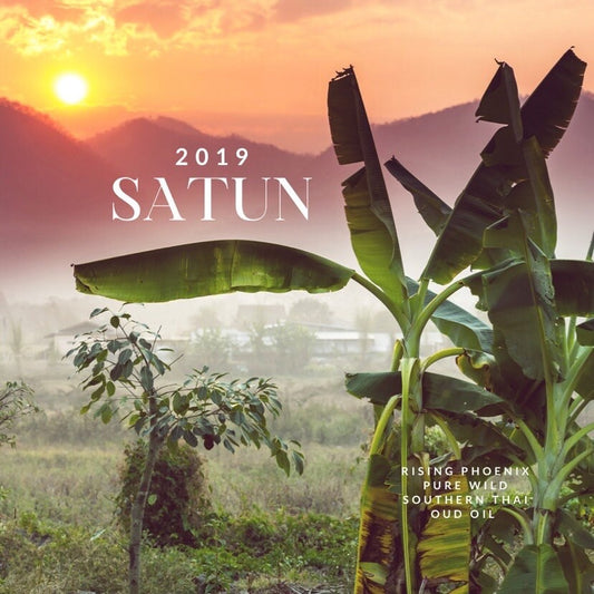Satun 2019 : Pure Peninsular/Southern Thai Wild Oud Oil - Dehn al Oudh - RisingPhoenixPerfumery.com