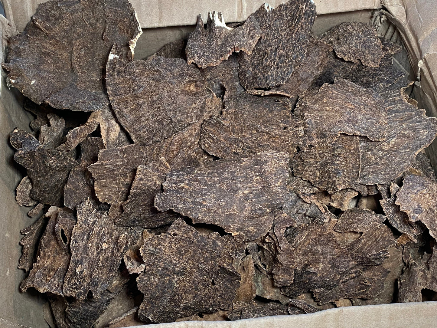 Jiribam Char 2022 Lot 4 - Larger/Thicker Pieces of Manipuri Agarwood - Bakhoor - Indian/Hindi Agarwood - RisingPhoenixPerfumery.com