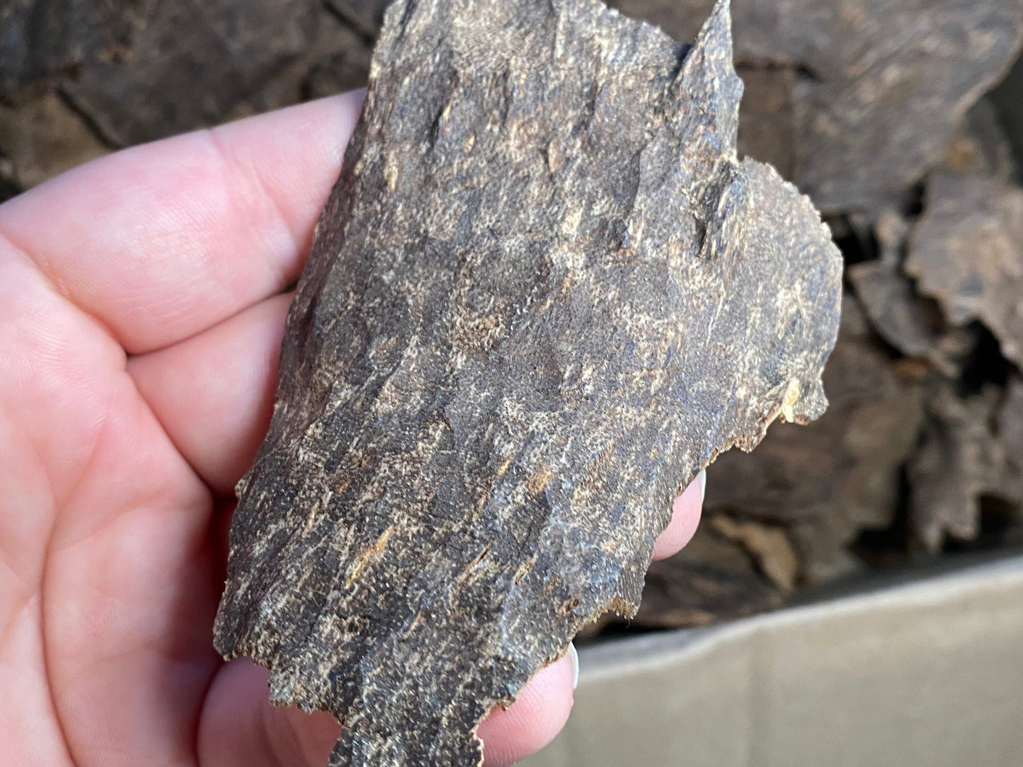 Jiribam Char 2022 Lot 4 - Larger/Thicker Pieces of Manipuri Agarwood - Bakhoor - Indian/Hindi Agarwood - RisingPhoenixPerfumery.com