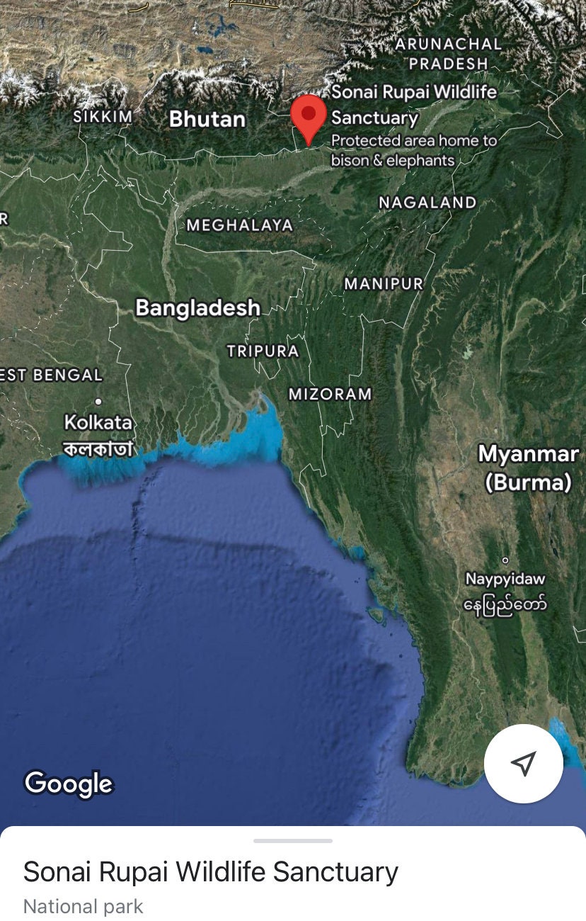 Sonai Rupai 2007 - Bhutan/Arunachal Pradesh/Assam/Sonai Rupai Pure Oud Oil - Dehn al Oudh - RisingPhoenixPerfumery.com