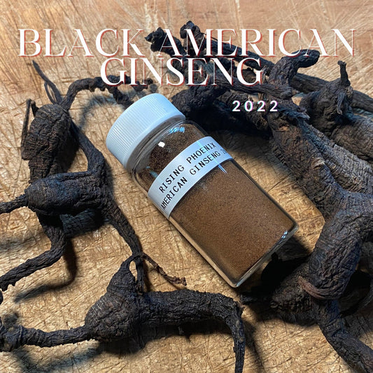 Old Black American Ginseng 20-35+ Year Old Roots 10-30g Powder : 9x - Steamed and Powdered Wild American Ginseng - RisingPhoenixPerfumery.com