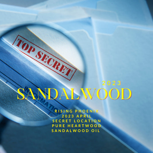 Sandalwood Secrets 2023 : A Rare Secret Location Pure Heartwood Sandalwood Oil - Santalum Album - RisingPhoenixPerfumery.com
