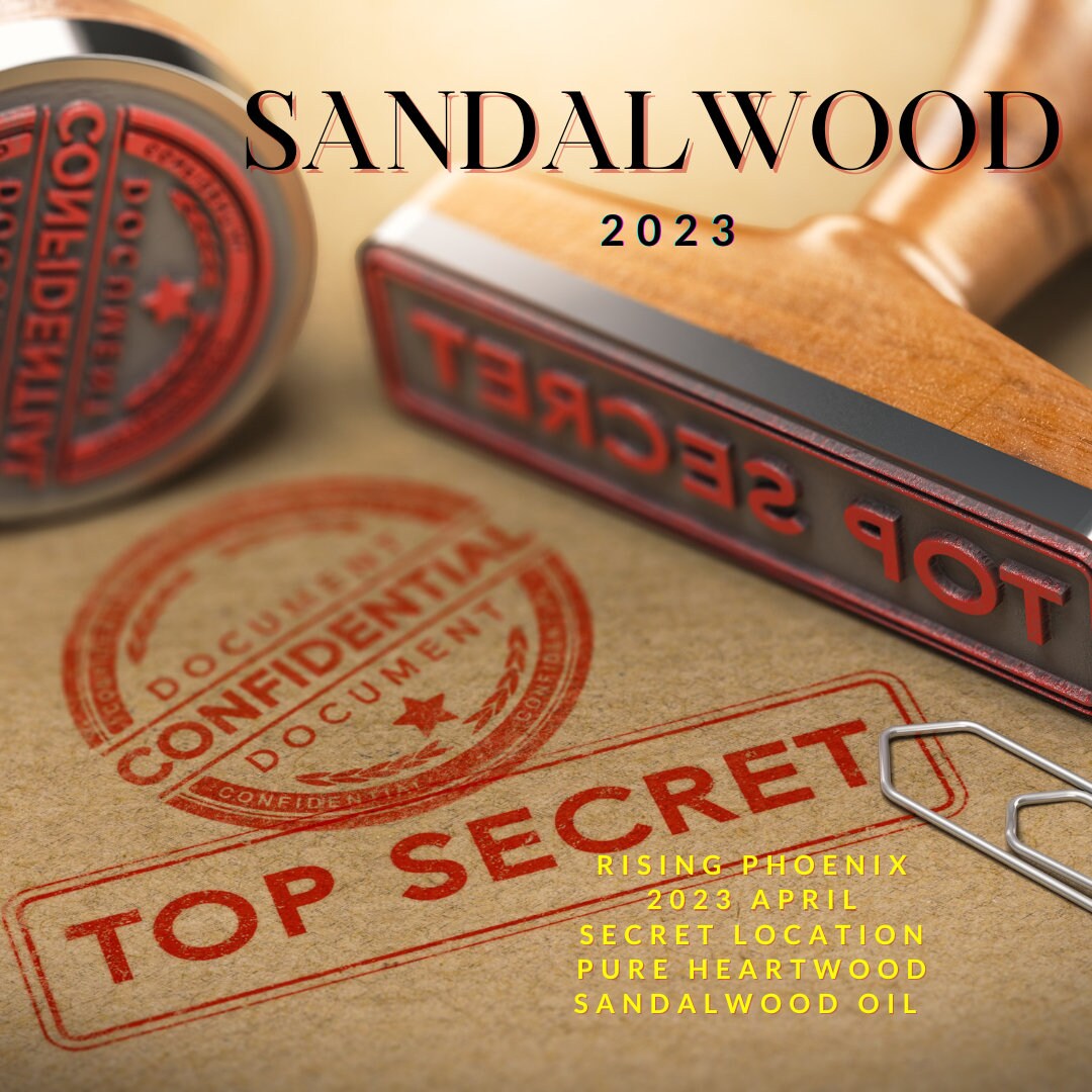 Sandalwood Secrets 2023 : A Rare Secret Location Pure Heartwood Sandalwood Oil - Santalum Album - RisingPhoenixPerfumery.com