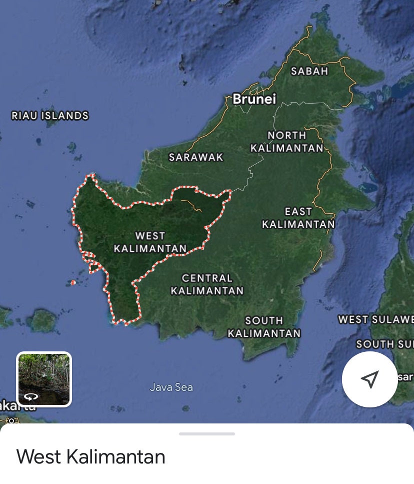 Melawi Kalbar 2022 : West Kalimantan Borneo Island Co-Distillation Malaccensis/Hirta - Pure Oud Oil - Pure Artisan Dehn al Oud - RisingPhoenixPerfumery.com
