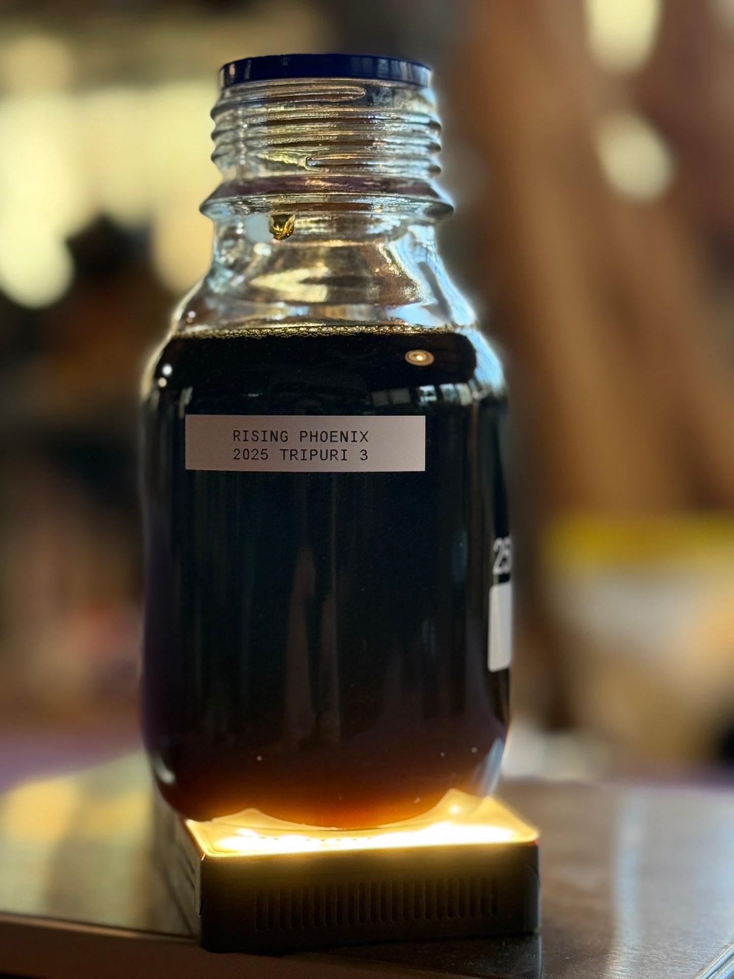 Tripuri 4 - 2025 - Tripura India - Herbs and Milk Chocolate, Hay, and Musk Profile - Pure Hindi Oud Oil