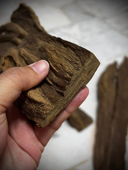 Ant and Clay 2022  - Kuala Pilah - Negeri Sembilan - West Malaysia - Pure Artisan Malay Oud Oil - Dehn al Oud