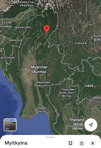 Phusung 2018 B3 : Pure Organic Laos Dehn al Oudh Oil - Rising Phoenix Perfumery