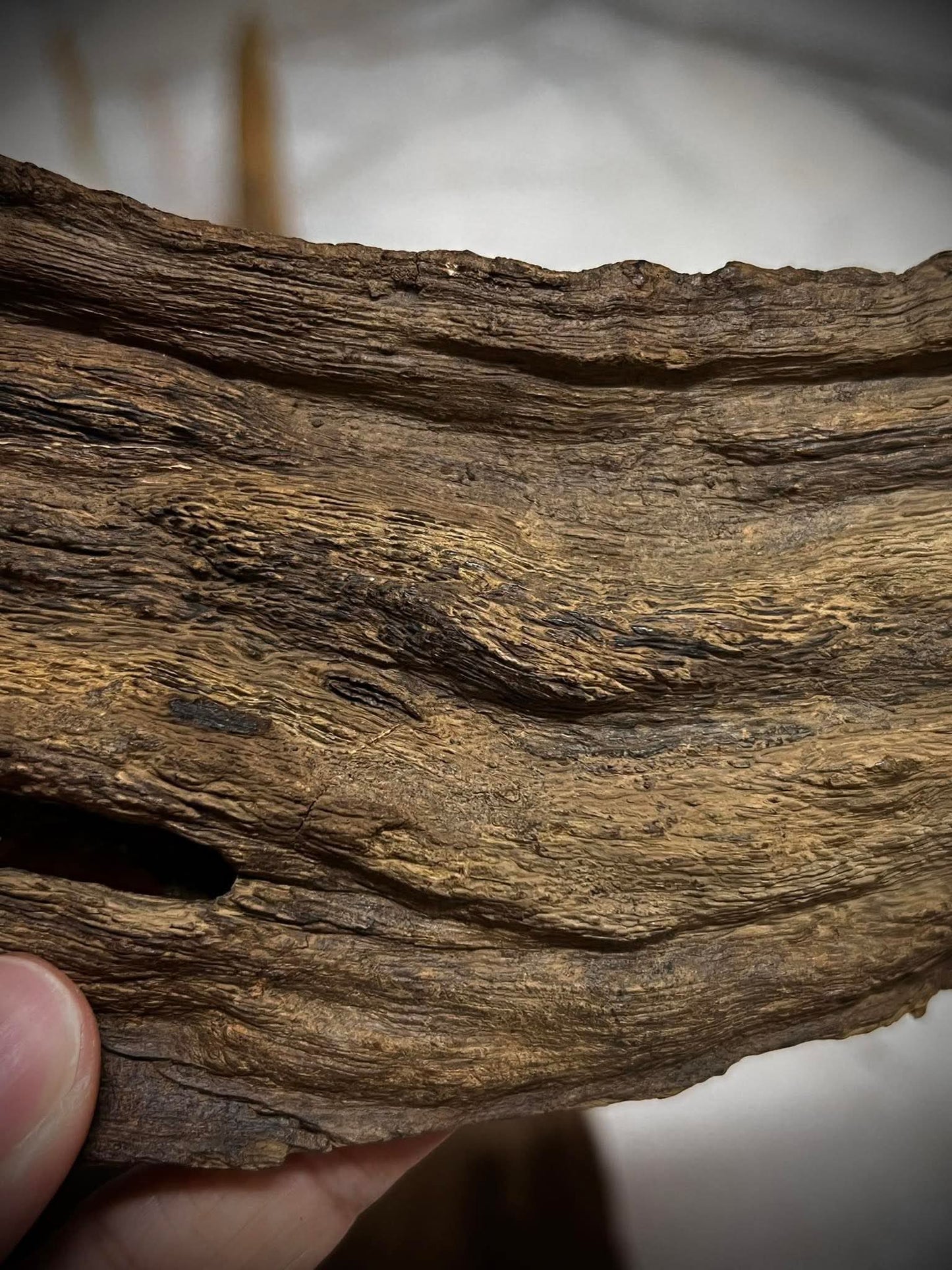 Ant and Clay 2022  - Kuala Pilah - Negeri Sembilan - West Malaysia - Pure Artisan Malay Oud Oil - Dehn al Oud