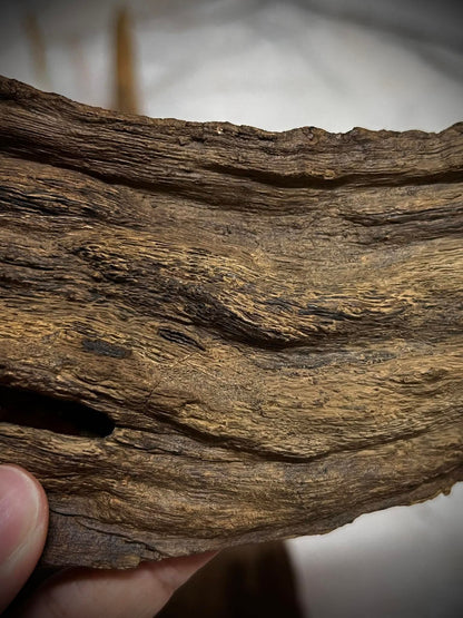 Ant and Clay 2022  - Kuala Pilah - Negeri Sembilan - West Malaysia - Pure Artisan Malay Oud Oil - Dehn al Oud