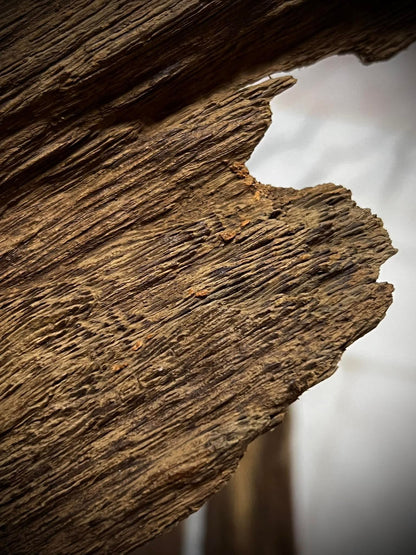 Ant and Clay 2022  - Kuala Pilah - Negeri Sembilan - West Malaysia - Pure Artisan Malay Oud Oil - Dehn al Oud