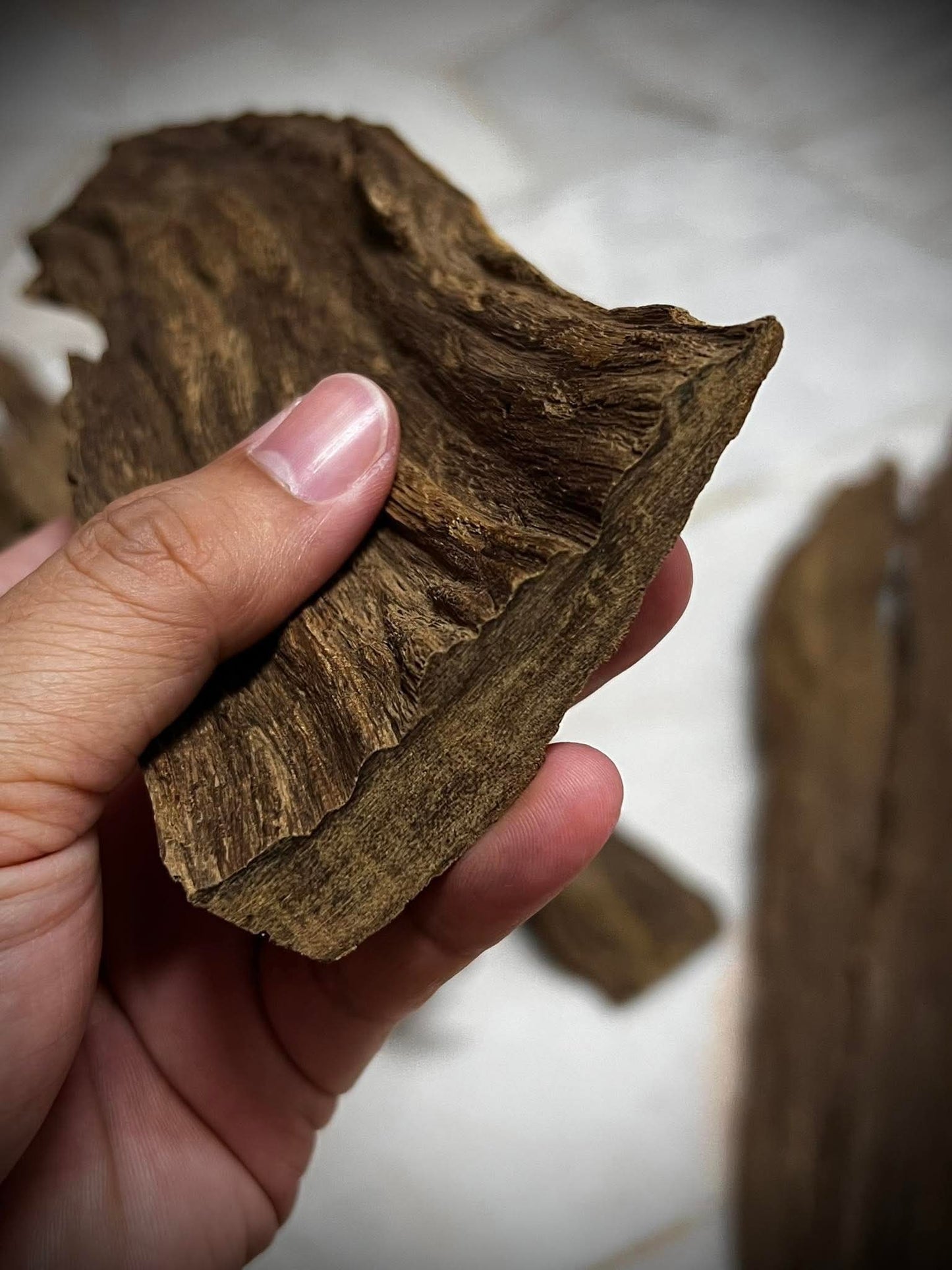 Ant and Clay 2022  - Kuala Pilah - Negeri Sembilan - West Malaysia - Pure Artisan Malay Oud Oil - Dehn al Oud