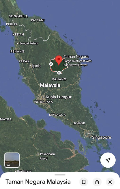 Taman Negara Pre2K - Ateek Series - Taman Negara Kenyir Forest Preserve - West Malaysia - Pure Artisan Malay Oud Oil - Dehn al Oud