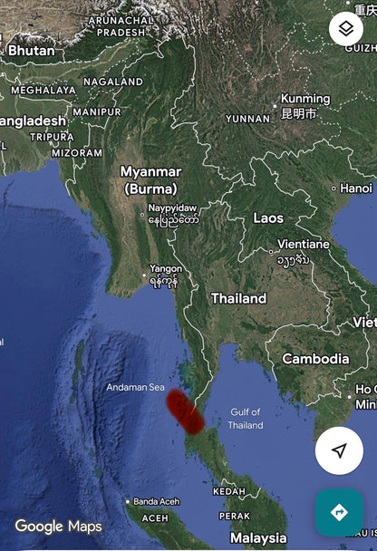 Koh Song 2017 : Pure SOUTHERN Burmese Organic Dehn al Oudh Oil - Rising Phoenix Perfumery