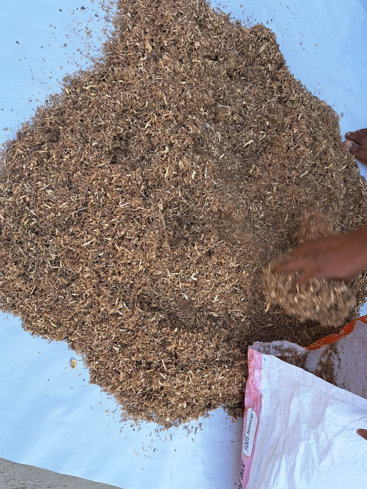 Garlois 2025 - Meghalaya - India - Pure Artisan Hindi Oud Oil - Dehn al Oud