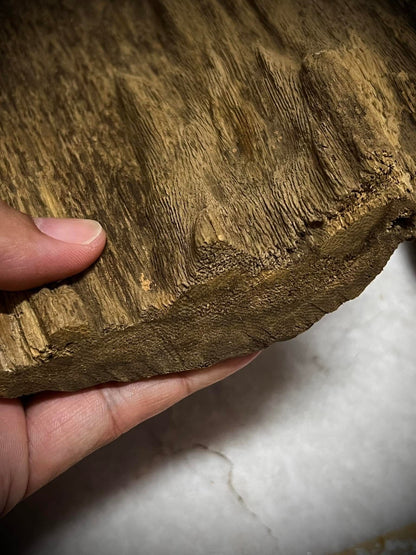 Ant and Clay 2022  - Kuala Pilah - Negeri Sembilan - West Malaysia - Pure Artisan Malay Oud Oil - Dehn al Oud