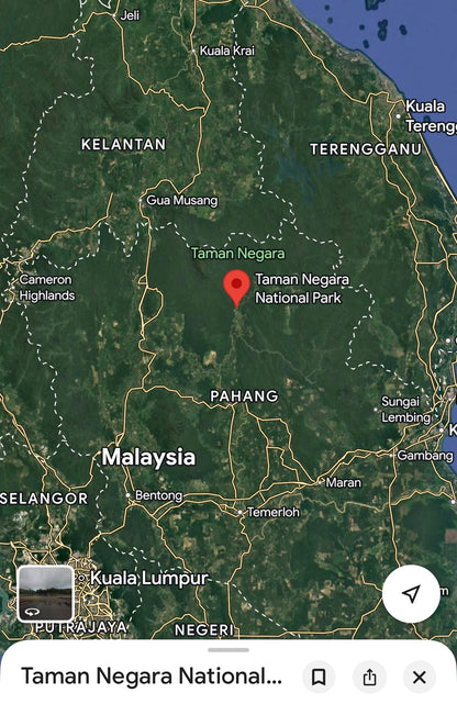 Taman Negara Pre2K - Ateek Series - Taman Negara Kenyir Forest Preserve - West Malaysia - Pure Artisan Malay Oud Oil - Dehn al Oud