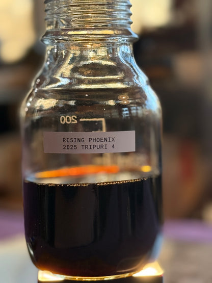 Tripuri 4 - 2025 - Tripura India - Herbs and Milk Chocolate, Hay, and Musk Profile - Pure Hindi Oud Oil