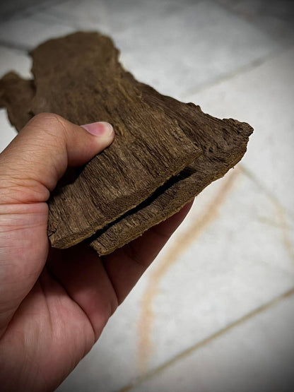 Ant and Clay 2022  - Kuala Pilah - Negeri Sembilan - West Malaysia - Pure Artisan Malay Oud Oil - Dehn al Oud