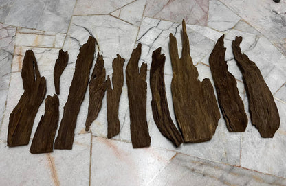 Ant and Clay 2022  - Kuala Pilah - Negeri Sembilan - West Malaysia - Pure Artisan Malay Oud Oil - Dehn al Oud